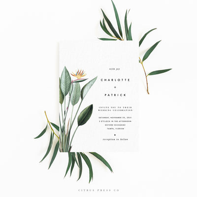 Minimalist Modern Simplistic Bird of Paradise wedding invitation suite DIY PDF Download 