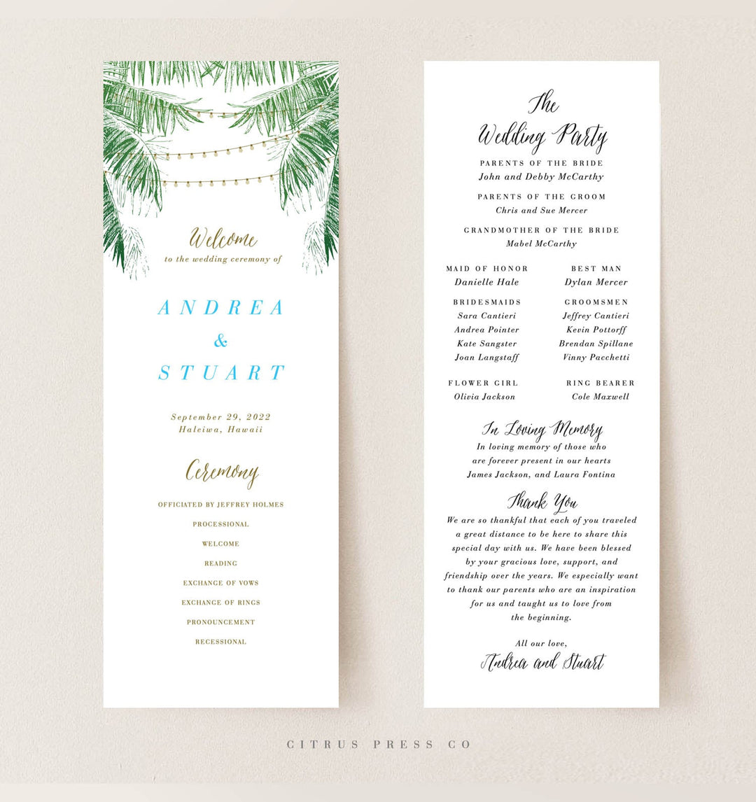 Destination wedding program | Beachweddingtips.com